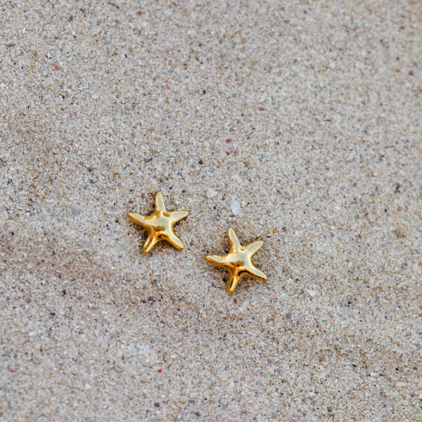 Sea Star Studs Silber Zu verkaufen – Bild 3